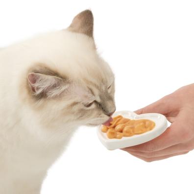 A cat eating Valentines treats A cat eating Valentine's treats