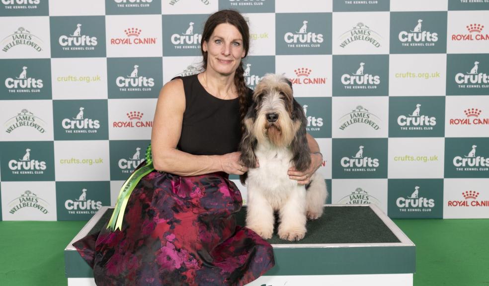 Crufts Hound Group winner